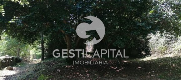 4 Schlafzimmer Haus in Marco de Canaveses, Portugal, Nr. 39574 26