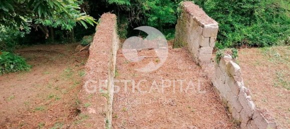 4 Schlafzimmer Haus in Marco de Canaveses, Portugal, Nr. 39574 15