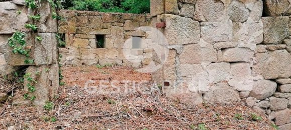 4 Schlafzimmer Haus in Marco de Canaveses, Portugal, Nr. 39574 13