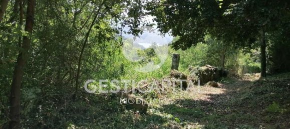 4 Schlafzimmer Haus in Marco de Canaveses, Portugal, Nr. 39574 28