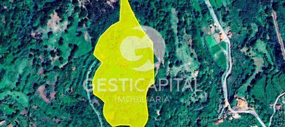 4 Schlafzimmer Haus in Marco de Canaveses, Portugal, Nr. 39574 24