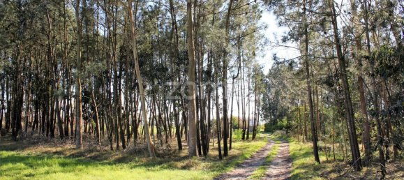 Terreno em Torreira, Portugal 4000 m² N.º 25450 9