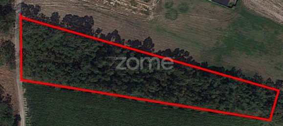 Terreno em Torreira, Portugal 4000 m² N.º 25450 4