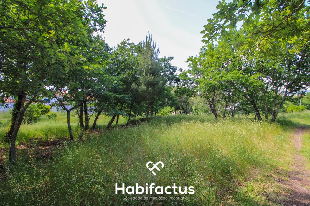  قطعة أرض في Viseu, Portugal 10898متر مربع رقم 202893