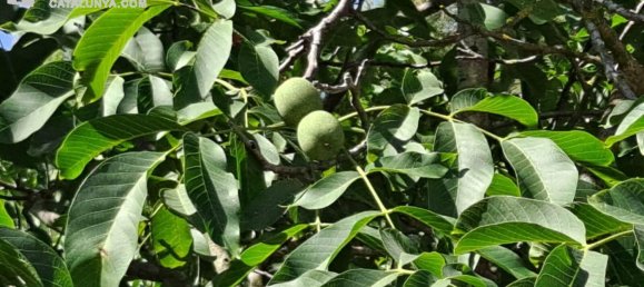 611m² Land in Barcelona, Spain No. 140204 7