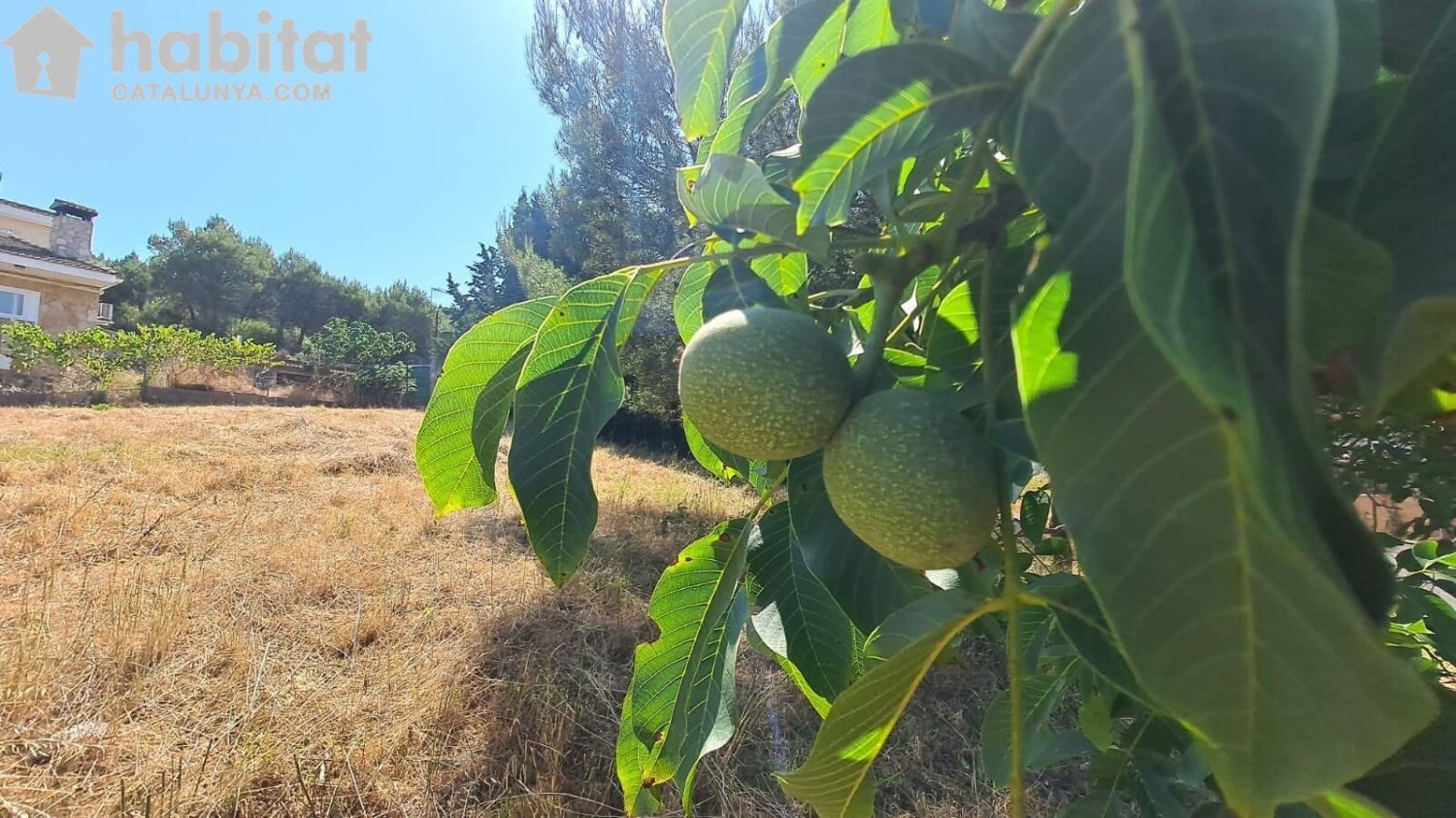  قطعة أرض في Barcelona, Spain 611متر مربع رقم 140204