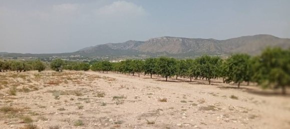 Земельный участок 47206м² в Салинас, Испания № 153245 3