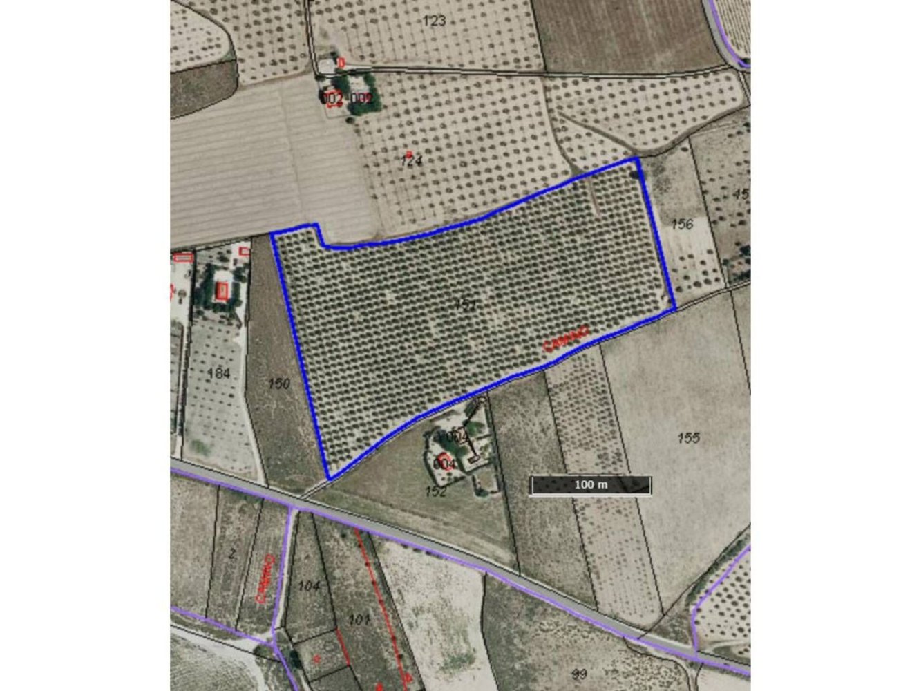 Земельный участок 47206м² в Салинас, Испания № 153245