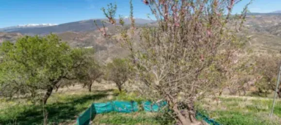 3 Schlafzimmer Haus in Almegijar, Spain, Nr. 108803 44