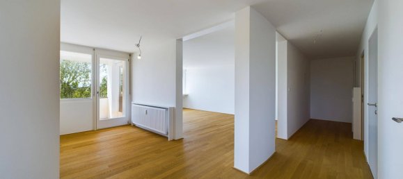 Penthouse de 3 divisões em Hard, Austria N.º 212712 8