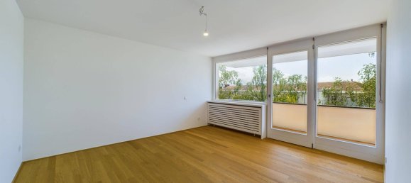 Penthouse de 3 divisões em Hard, Austria N.º 212712 13