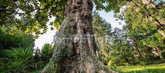 Дом с 5 спальнями в Альсерио, Италия № 115632 35