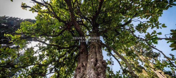 Дом с 5 спальнями в Альсерио, Италия № 115632 38