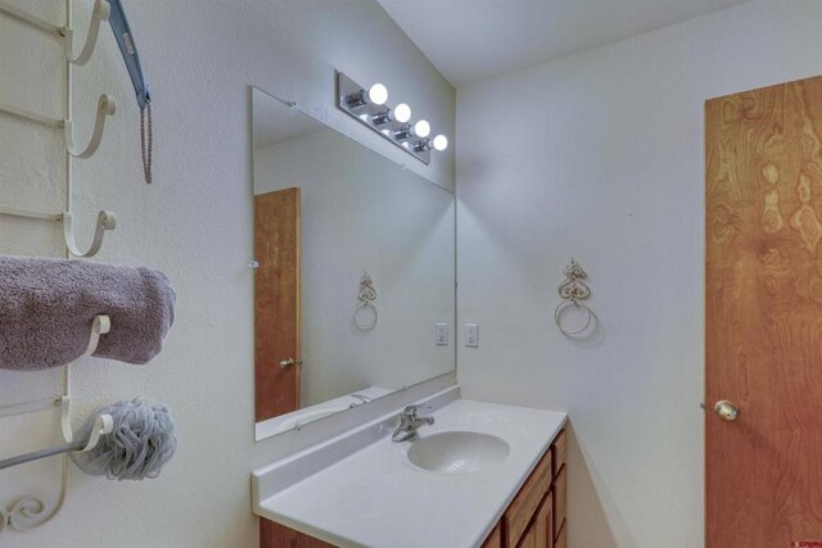 2 bedrooms House in Pagosa Springs, USA No. 393672