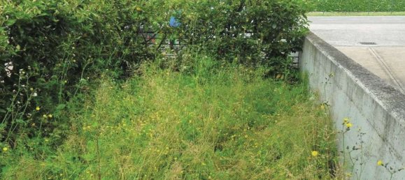 5 bedrooms Apartment in San Vendemiano, Italy No. 371921 7