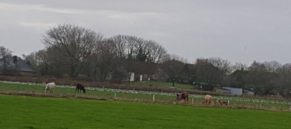 6-Zimmer Haus in Nordfriesland, Germany, Nr. 279124 11