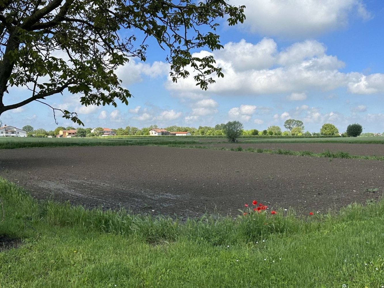 Земельный участок 3106м² в Баньоли ди Сопра, Италия № 162003