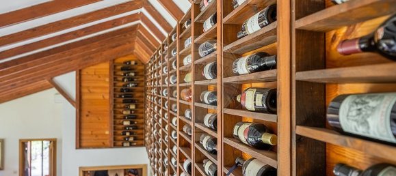 Дом с 6 спальнями в Терраш ди Бору, Португалия № 42659 24