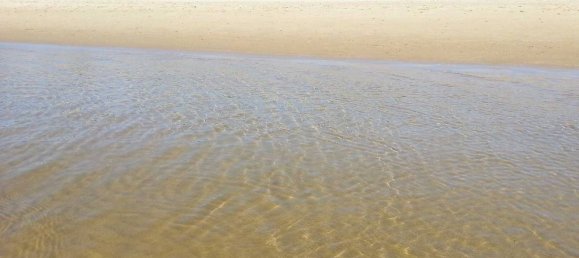 Земельный участок 47000м² в Фонди, Италия № 198908 9