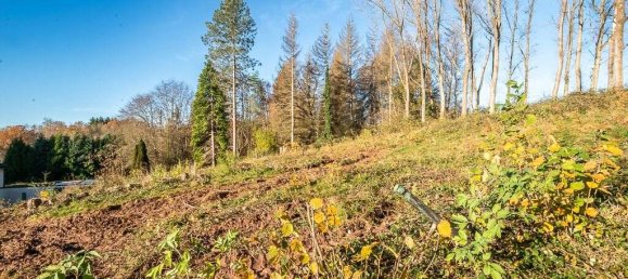  Land in Neunkirchen, Germany No. 77938 3