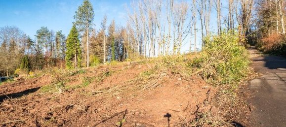  Land in Neunkirchen, Germany No. 77938 2