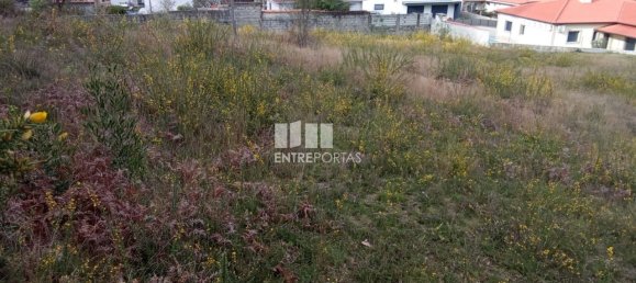 Grundstück in Viana do Castelo, Portugal 1375m², Nr. 50165 3