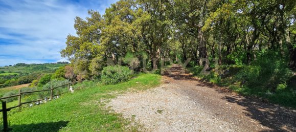 Дом с 1 спальней в Роккастрада, Италия № 371178 19