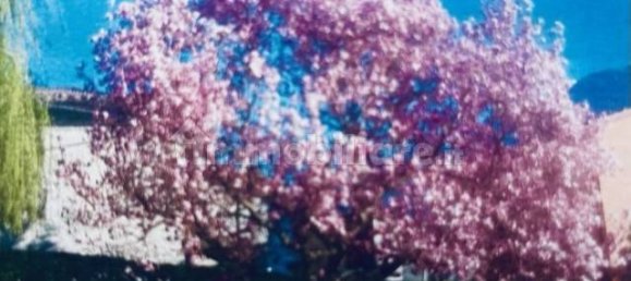 5 bedrooms Villa in Dubino, Italy No. 169541 24