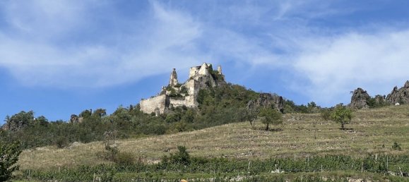 Земельный участок с 3 комнатами в Дюрнштайн, Австрия № 124530 6