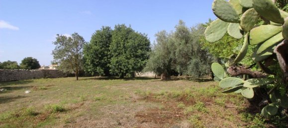 11 Schlafzimmer Haus in Modica, Italy, Nr. 360783 12