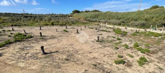 Grundstück in Alliste, Italy 7900m², Nr. 103627 7