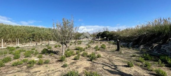 Grundstück in Alliste, Italy 7900m², Nr. 103627 8