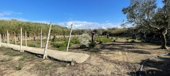 Grundstück in Alliste, Italy 7900m², Nr. 103627 5