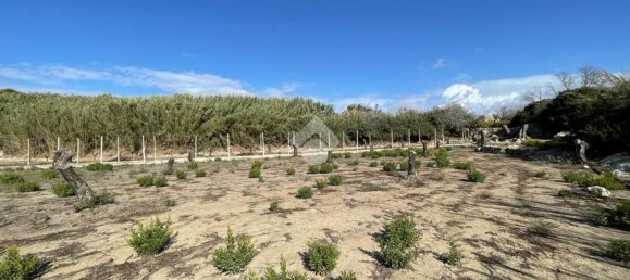 Grundstück in Alliste, Italy 7900m², Nr. 103627 9