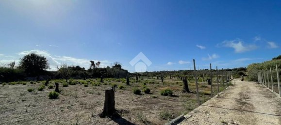 Grundstück in Alliste, Italy 7900m², Nr. 103627 19