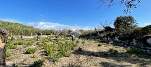 Grundstück in Alliste, Italy 7900m², Nr. 103627 11