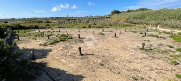 Grundstück in Alliste, Italy 7900m², Nr. 103627 6