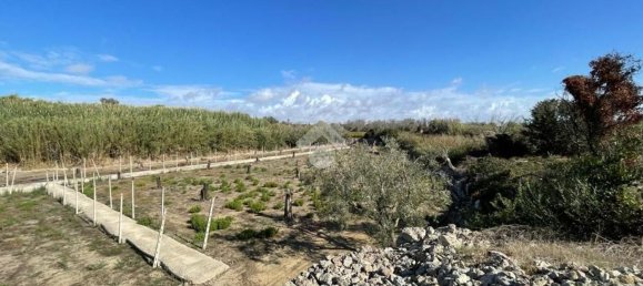 Grundstück in Alliste, Italy 7900m², Nr. 103627 3