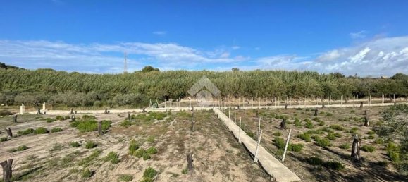 Grundstück in Alliste, Italy 7900m², Nr. 103627 22