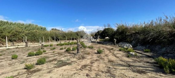 Grundstück in Alliste, Italy 7900m², Nr. 103627 24