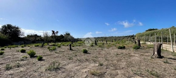 Grundstück in Alliste, Italy 7900m², Nr. 103627 4