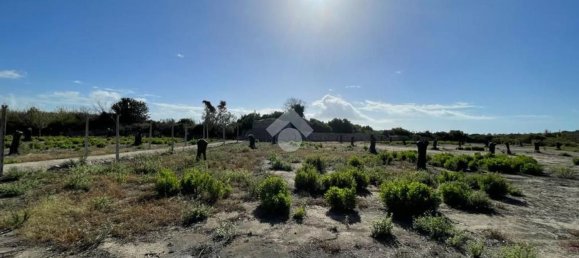 Grundstück in Alliste, Italy 7900m², Nr. 103627 26