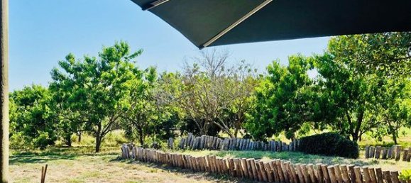 5 غرف نوم منزل في La Milesse, France رقم 313594 14