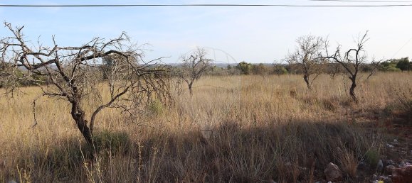 Terreno em São Bartolomeu de Messines, Portugal 34640 m² N.º 35994 2