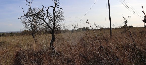 Terreno em São Bartolomeu de Messines, Portugal 34640 m² N.º 35994 6