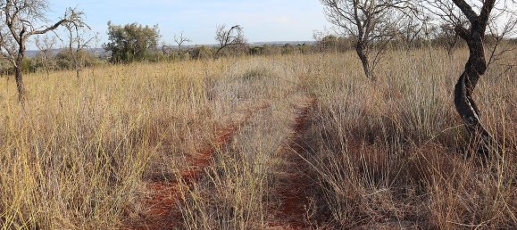 Terreno em São Bartolomeu de Messines, Portugal 34640 m² N.º 35994 7