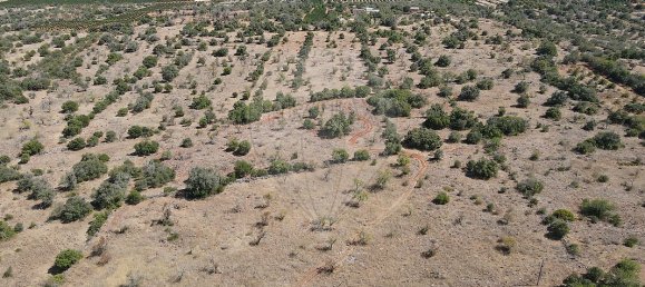 Terreno em São Bartolomeu de Messines, Portugal 34640 m² N.º 35994 11