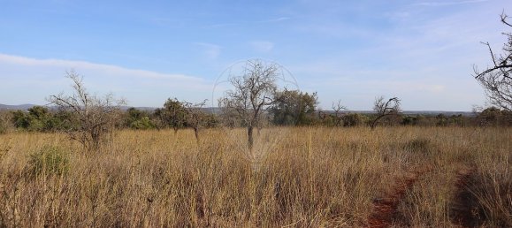 Terreno em São Bartolomeu de Messines, Portugal 34640 m² N.º 35994 3