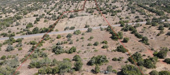 Terreno em São Bartolomeu de Messines, Portugal 34640 m² N.º 35994 12