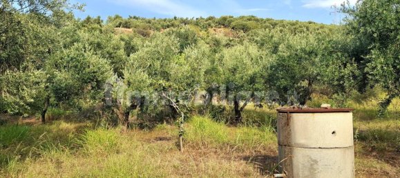 8684m² Land in Terme Vigliatore, Italy No. 377553 4